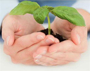 �����Wվ���O��˾ɣ�¼��F