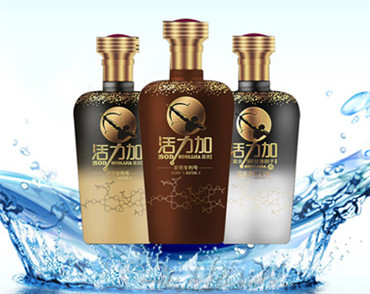 �����Wվ���O��˾����������Ƽ�